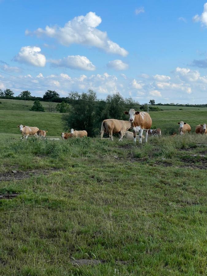 Radlerzimmer Mit Duschbad Und Minikueche In Neu Gaarz, Mitten In Der Natur エクステリア 写真