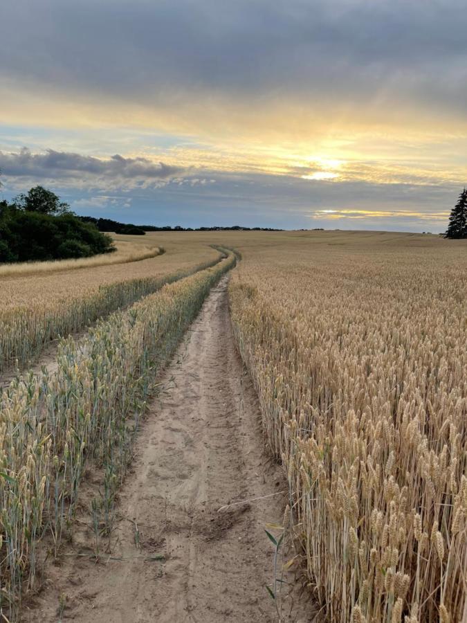 Radlerzimmer Mit Duschbad Und Minikueche In Neu Gaarz, Mitten In Der Natur エクステリア 写真